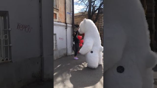 Неожиданный подарок для девушки от мишки Пломбира. самые лучшие эмоции смотреть онлайн