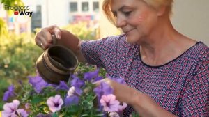 КАПАЮ ПОД ВСЕ ЦВЕТЫ В ДОМЕ! Зацветают Как Сумасшедшие!