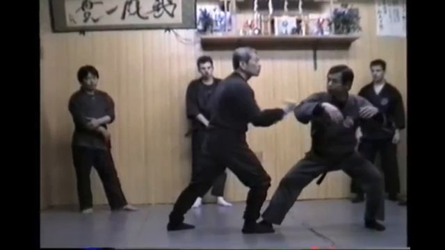 Soke Masaaki Hatsumi and Hard Training смотреть онлайн