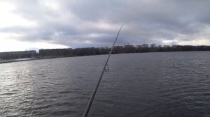 Ronin Rush RAIDER (6 - 28г.) против судака. Обзор, рыбалка и тест спиннинга