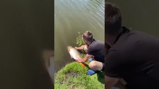 Выпускаем большого карпа! Big fish. Рыбалка. Fishing.