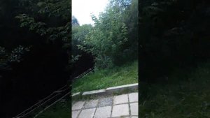 Кипячий ключ Шатки