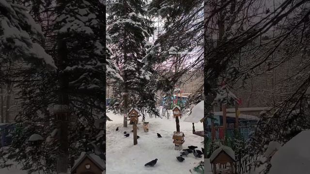 ❄️ Зима-прекрасное и сказочное время года.❄️🌲