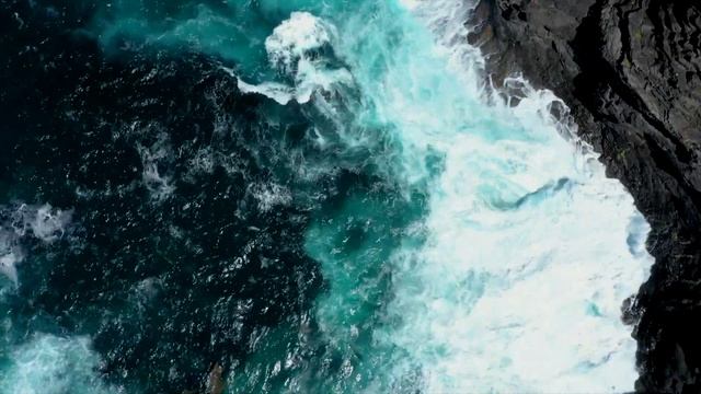 ВСЕМИРНЫЙ ДЕНЬ ОКЕАНОВ смотреть онлайн