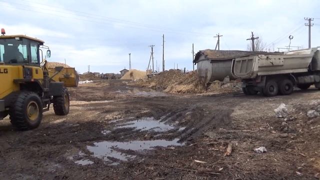 лес рубят-щепки летят. смотреть онлайн