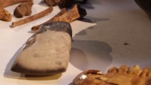 Альманах «Историограф» Выпуск 13.mp4