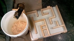 Mouse trap maze experiments