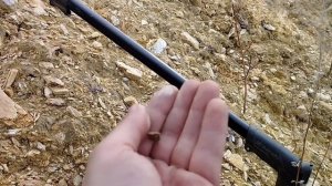 ПОИСК ЗОЛОТЫХ САМОРОДКОВ С РОМАН РОМАНЫЧЕМ !!!! ОТЛИЧНЫЕ НАХОДКИ