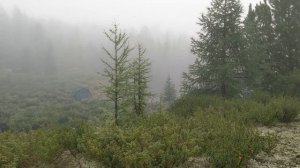 Восточный Саян