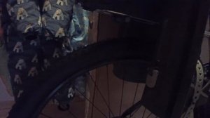 Hamax Zenith. Обзор велокресла