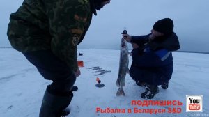 РЫБАЛКА С ХОРОШЕЙ КОМПАНИЕЙ. ЧТО МОЖЕТ БЫТЬ ЛУЧШЕ