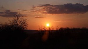 ЧЕТЫРЕ ПРИЗНАКА ЖЕНЩИНЫ, КОТОРАЯ ПОСТОЯННО ПРЫГАЕТ С ВЕТКИ НА ВЕТКУ (С РАЗНЫМИ МУЖЧИНАМИ)