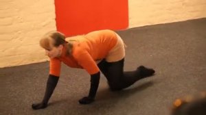 Показ. Наблюдение за животными 12. Лиса