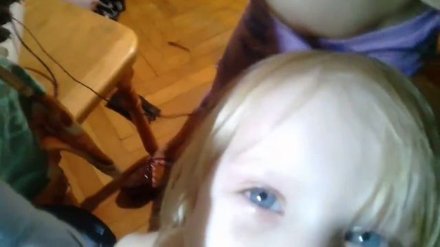 Опыляем цикламен смотреть онлайн