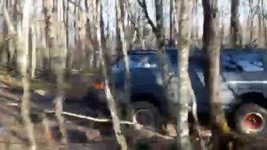 Делика в лесу по грязи