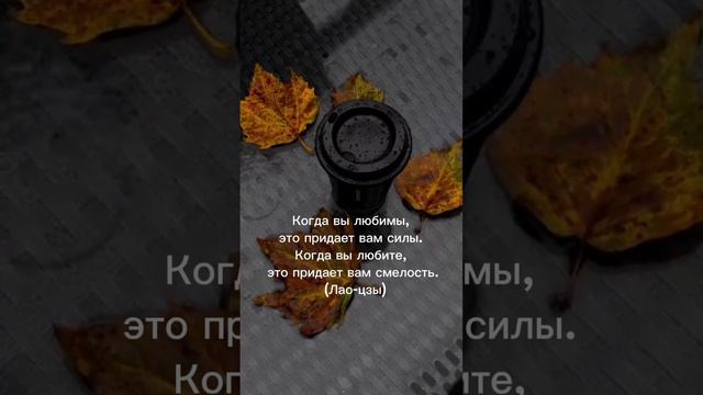 Что такое любовь? #жизнь #природа #мир #мысли #цитаты #любовь #цитатывеликих #драма #люблю смотреть онлайн