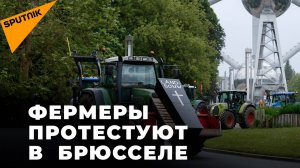 Протест европейских фермеров в Бельгии