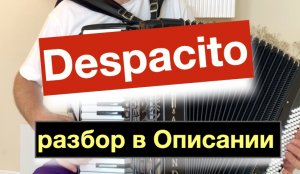 Despacito как играть на Аккордеоне с нуля ноты Деспасито  -  Бесплатный урок Аккордеона