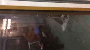 Кропоткинская - Университет (метро)