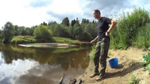 Елец на обеде. Рыбалка на поплавок