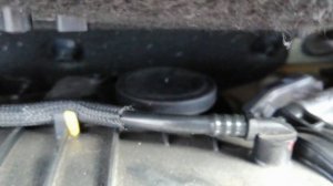 Рено Каптур издаёт звуки по утрам