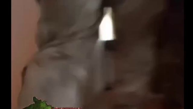 Сегодня их утро началось не с кофе!