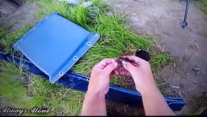 чеснок на сома