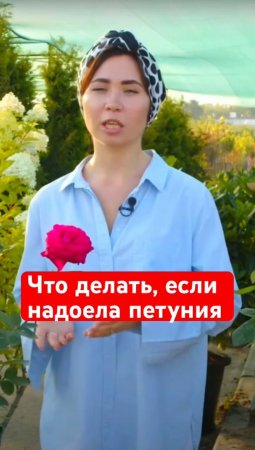 🌺🔥ТОП-3 НЕПРИХОТЛИВЫХ заменителя петунии