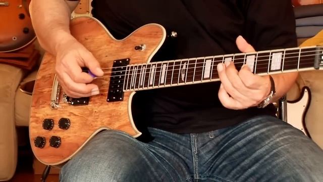 Washburn "Idol" Limited Edition spalted Maple, Part2 смотреть онлайн