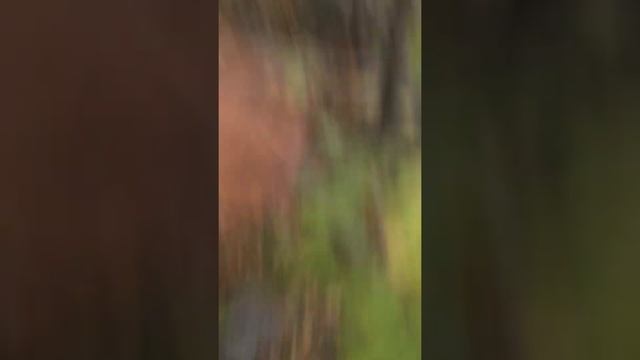 Поиски изоляторов смотреть онлайн