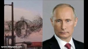 Putin: the most powerful man in the world