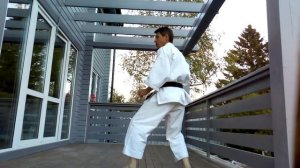 Техника ударов ногами в карате.