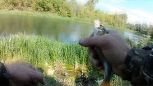 Рыбалка на поплавок осенью на реке!