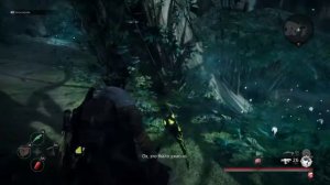 Remnant from the ashes (8)