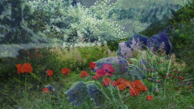 СИЯЕТ НЕБО #песни #любовь #бабушка смотреть онлайн