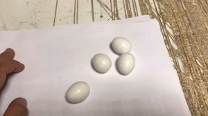 Подкладное муляж , Подкладные яйца, Подменное яйцо пр-во Турция