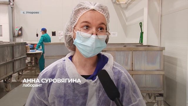 Объёмы производства и реализации продукции завода по переработке картофеля увеличились смотреть онлайн