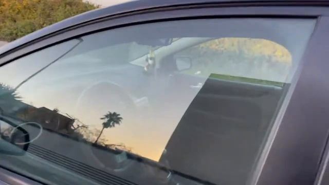 FORD Focus 1.6 TDCi (90CV) 5p. смотреть онлайн