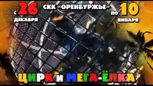 Цирк и Мега Ёлка
