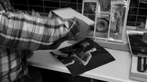 Клуб любителей аналоговой фотографии "SG"