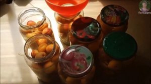 Компот из абрикос на зиму Как приготовить абрикосовый компот