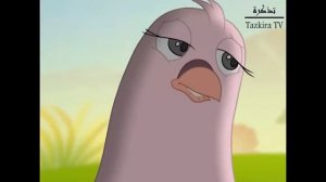 Qur'onda nomi kelgan hayvonlar qissasi 5-qism | Ibrohimning qushi 1