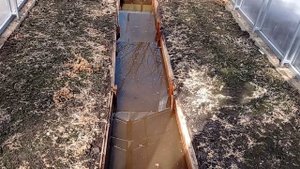 Обзор сада. Вода на участке. Теплицу затопило.