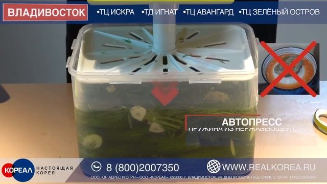Контейнеры с прессом для засолки  Быстрая доставка по всей России!