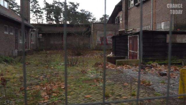 Леопард приходил к корове каждую ночь. Фермер установил камеру и узнал невероятную правду смотреть онлайн