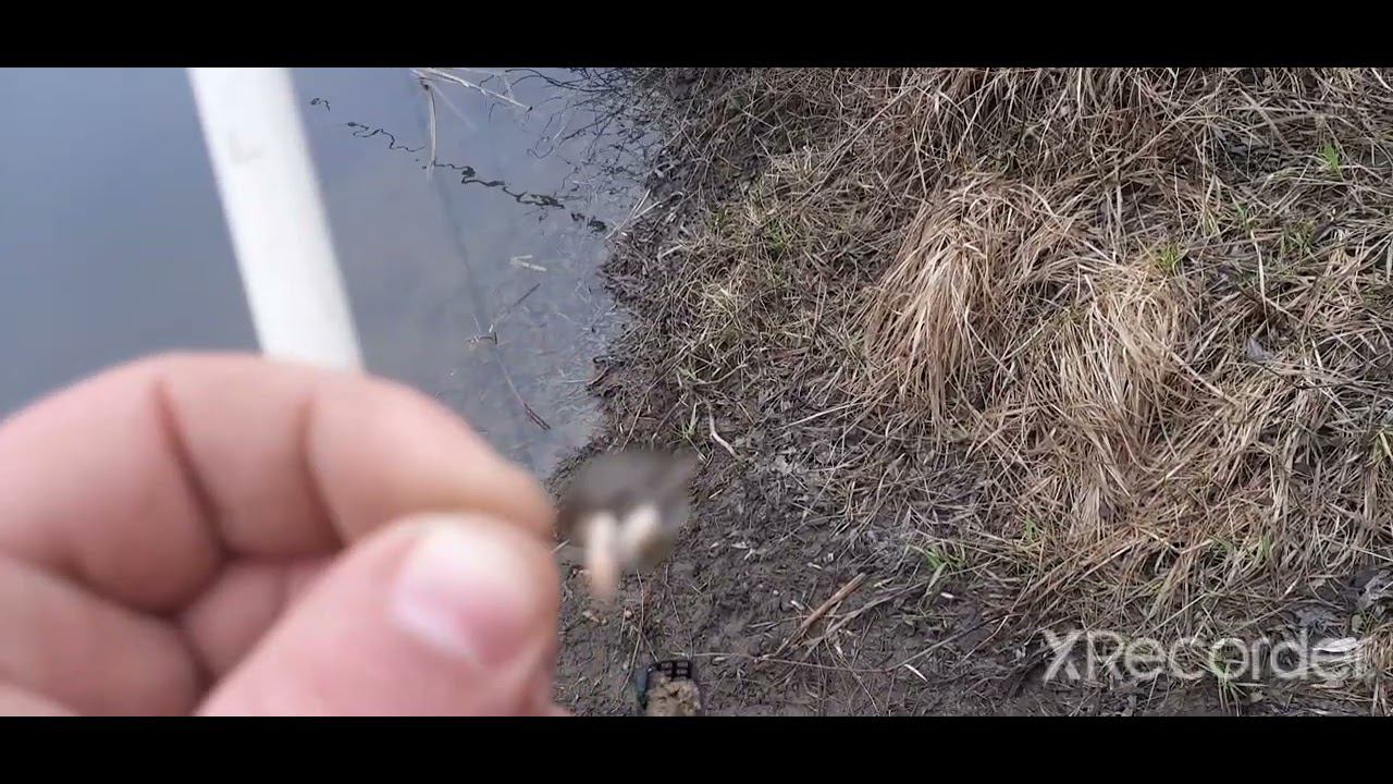 ВЕСНА!!! ПЕРВАЯ РЫБАЛКА НА ДОНУ!!! ПОЕЗДКА НА АЛЬФЕ!!! смотреть онлайн