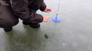 ловля щуки на флажки