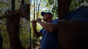 Старый клён Блок-флейта