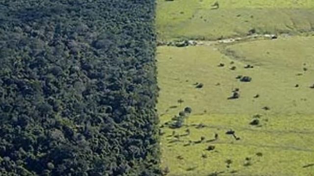 ONG Salve o Planeta BBC смотреть онлайн