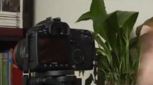 Canon EOS 40D: Self Timer